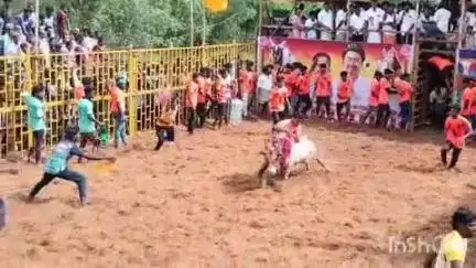 உடையார்பாளையம்: மாதாபுரம் கிராமத்தில் நடைபெற்ற ஜல்லிகட்டு போட்டியில் 600க்கும் மேற்பட்ட காளைகள் பங்கேற்பு