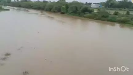 ఆళ్లగడ్డ మండలం పడకండ్ల  గ్రామం సమీపంలో, వక్కిలేరులో సంతరించుకున్న జలకళ