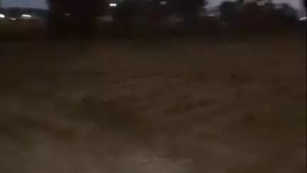 नौगावां सादात: नौगांवा तहसील में आवारा पशुओं से किसान परेशान, पकड़वाने की मांग #jansamasya