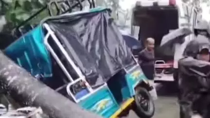 মঙলদৈ ভাগ: ঝাকুৱাপাৰাত ধুমুহাত গছ বাগৰি পৰিল চলন্ত ই-ৰিক্সাত, আহত চাৰিজন