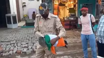 टेहरोली: टहरौली बस स्टैण्ड के पास करंट लगने से राष्ट्रीय पक्षी मोर की हुई मौत, मौके पर पहुंचा प्रशासन