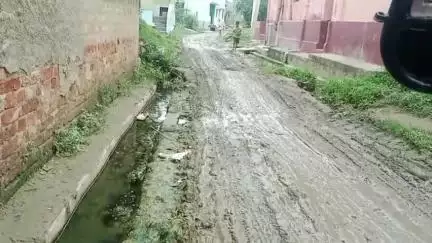 ময়ূরেশ্বর ২: অল্প বৃষ্টিপাতেই কামারহাটি গ্রামের রাস্তা হয়ে ওঠে কর্দমাক্ত, সমস্যায় গ্রামবাসী #jansamasya