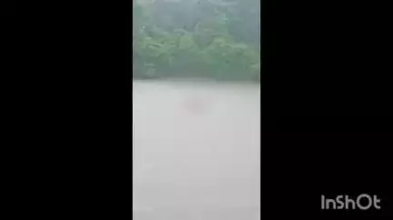 കോതമംഗലം: കുട്ടമ്പുഴയിൽ പുഴയിലൂടെ ഒഴുകിയ നിലയിൽ കാട്ടുപോത്തിന്റെ ജഡം ഇന്ന് കണ്ടെത്തി