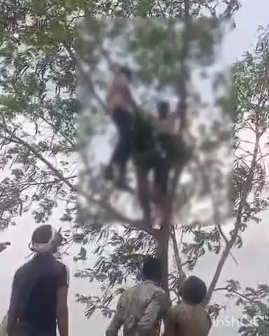 कोलारस: बैड़ारी गांव: युवक ने फांसी लगाकर की आत्महत्या, पुलिस ने मामला दर्ज किया