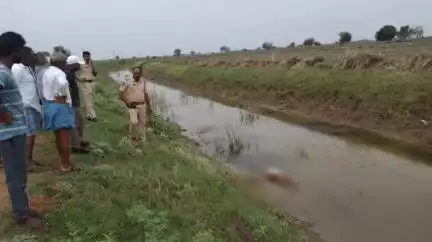 సంతనూతలపాడు: బసవన్నపాలెం గ్రామ సమీపంలో గుర్తుతెలియని మృతదేహం