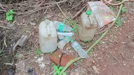 বান্দোয়ান: বান্দোয়ানের পপড়োকচা সহ একাধিক এলাকায় অভিযান আবগারি দপ্তরের