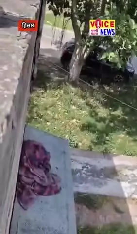 हिसार में चल रही थी रिटायरमेंट पार्टी, तभी मच गई भगदड़, मधुमक्खियों ने कइयों को काटा #viral #hisar madhumakhi