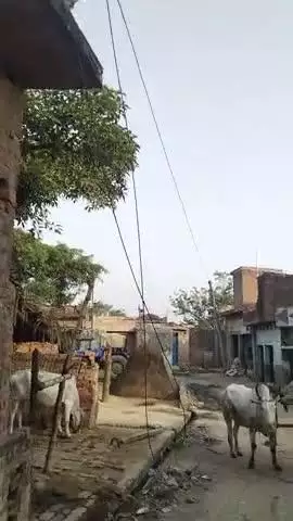मौत को दावत दे रहे एल टी लाइन शहाबाद गांव ऐगवा़ 
नहीं सुन रहा  विद्युत विभाग ग्रामीण परेशान
