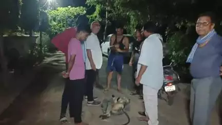 बुरहानपुर नगर: बुरहानपुर: शिकारपुरा क्षेत्र में करंट लगने से बंदर की मौत, क्षेत्रवासियों ने किया अंतिम संस्कार