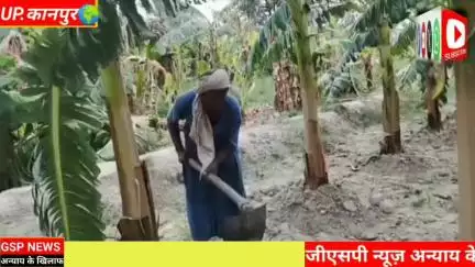 घाटमपुर 
साढ़ में बिजली न मिलने से पानी की दिक्कत#किसान दिख रहे परेशान@