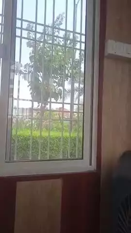 ग्राम उदयपुर पोस्ट निगोहा तहसील मोहनलालगंज जिला लखनऊ ग्राम पंचायत में समस्याएं हैं ग्राम उदयपुर