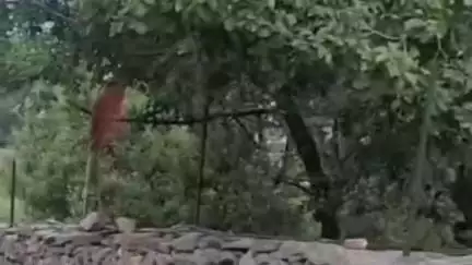 कल्पा: रिकांग पिओ क्षेत्र में RTO द्वारा ई-रिक्शा का ट्रायल किया गया, RTO ने दी जानकारी