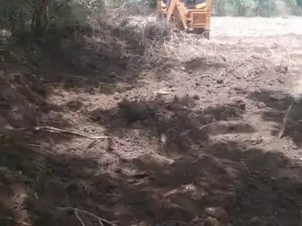 Nalkheda nagar narsali me ped tode jaa rahe hai