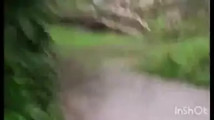 തിരുവല്ല: ജില്ലയിൽ 31 ദുരിതാശ്വാസ ക്യാമ്പുകൾ തുറന്നു, ഏറ്റവും കൂടുതൽ ക്യാമ്പുകൾ തിരുവല്ല താലൂക്കിൽ