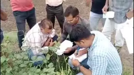 કોડીનાર: કોડીનાર તાલુકાના મીતીયાજ ગામે ખેડૂતને એગ્રો સેન્ટર દ્રારા નકલી બિયારણ આપ્યાનો આક્ષેપ આપી પ્રતીક્રીયા#Jansamasya