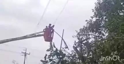 भिंड नगर: भिंड: बाटर बर्क्स में आंधी से बिजली के तारों से टकराया पेड़, 33 केवी लाइन में फॉल्ट, कर्मचारी पहुंचे