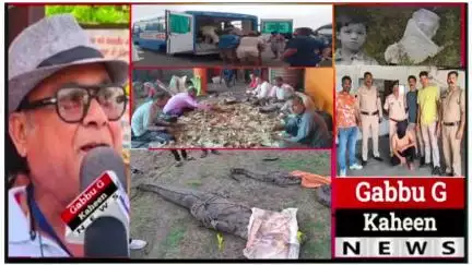 31,मई,शनिवार 👉मंदसौर में कुएं से निकाले तीन मगरमच्छ:👉दूधाखेड़ी माता मंदिर में दान मै निकले 85 लाख:#updat#news #let