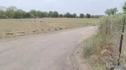 धरणगाव: वंजारी शिवारात शेतीच्या मोजमापावरून दांपत्याला जीवेठार मारण्याची धमकी; धरणगाव पोलिसात गुन्हा दाखल