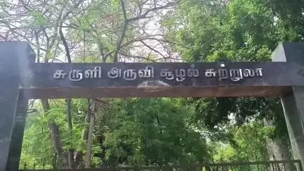 உத்தமபாளையம்: சுருளி அருவியில் நீர் வரத்து அதிகம் காரணமாக சுற்றுலா பயணிகள் குளிக்க வனத்துறை தொடர் தடை விதிப்பு