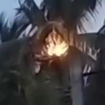 ঘাটাল: ঘাটালের মনোহরপুর এলাকাতে নারকেল গাছ দাউদাউ করে জ্বলতে শুরু করলো বাজ পড়ে