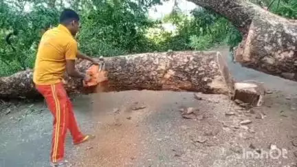 ବୀରମହାରାଜପୁର: ଚଡାଇପଙ୍କ ରାସ୍ତାରେ ଗଛ ପଡ଼ି ଅବରୋଧ, ଗଛକୁ କାଟି ସଫା କଲା ଅଗ୍ନିଶମ ବାହିନୀ