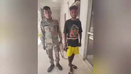 अमड़ापाड़ा: अमड़ापाड़ा में विधवा महिला से सामूहिक दुष्कर्म, पुलिस ने एक आरोपी को जेल भेजा
