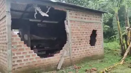 মাটিয়া: কৃষ্ণাইৰ শালপাৰাত এটা অকলশৰীয়া বন্যহস্তীয়ে খাদ্যৰ সন্ধানত গাঁৱত প্ৰৱেশ কৰি এগৰাকী বিধৱা মহিলা পকী গৃহ ভাঙি পেলায়