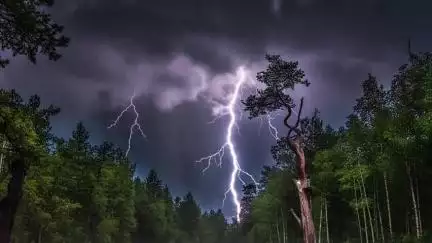 বলরামপুর: বলরামপুরে তিনটি পৃথক জায়গায় বজ্রপাতের ঘটনায় আহত চার, চিকিৎসার জন্য আনা হলো বাঁশগড় হাসপাতালে