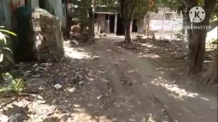 মথুরাপুর ১: পাটুনিঘাটা এলাকায় দীর্ঘদিন ধরে বেহাল রাস্তা সমস্যায় এলাকাবাসীরা#jansamasya