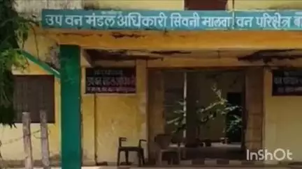 सिवनी मालवा: बघवाड़ा ग्राम में वन विभाग ने अवैध लकड़ी से भरी ट्रैक्टर-ट्राली ज़ब्त की, सीरस व जामुन की लकड़ियाँ मिलीं