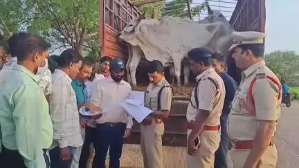 బోధన్: రెంజల్ మండలంలో పశువుల కొనుగోలు కేంద్రాన్ని తనిఖీ చేసిన సీపీ సాయి చైతన్య