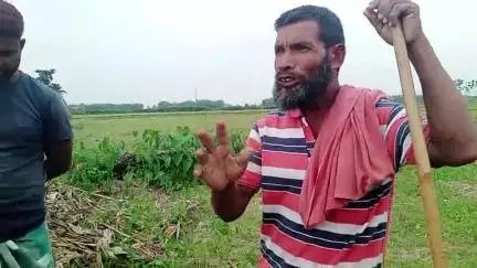 यही आदमी का भैस है जो की भैस  लेकर मक्का का खेत में चराते पकर लिये थे