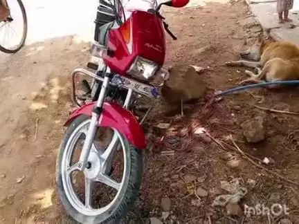 बल्देवगढ़: बल्देवगढ़ में जमुनिया टेक के समीप सड़क हादसे में बाइक चालक हुआ घायल, जिला अस्पताल किया गया रेफर