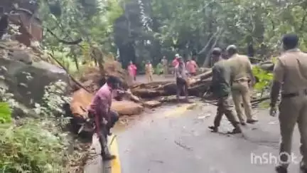 താമരശ്ശേരി: മരം മുറിച്ചുമാറ്റൽ, താമരശ്ശേരി ചുരത്തിൽ മൂന്നു മണിക്കൂറോളം ഗതാഗതക്കുരുക്ക്