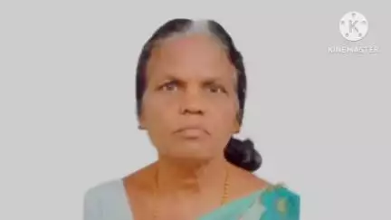 मिरज: कारच्या धडकेत ७० वर्षीय वृद्ध महिला ठार; सांगली मिरज रोडवर गेस्ट हाउस येथे झाला अपघात