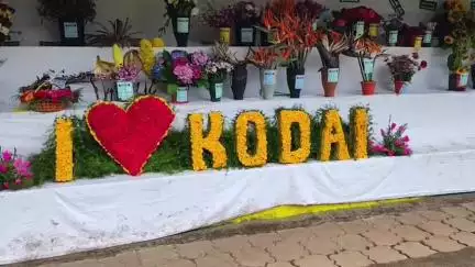 கொடைக்கானல்: கொடைக்கானல் கோடை விழா நாய் கண்காட்சியில் விதவிதமான நாய்களை பார்த்து ரசித்த சுற்றுலா பயணிகள்