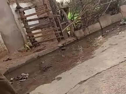 वाले का मोहल्ला में ।।। कई महीनों से साफ सफाई नहीं हुई है