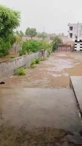 NAGOUR RAJASTHAN  UPDATE  TODAY