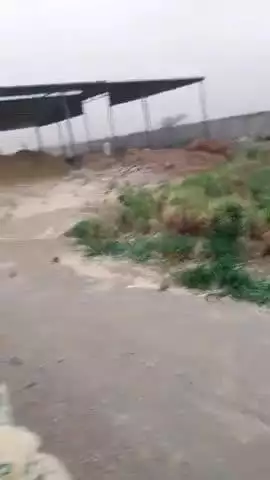 tufan ki vajah se aap sabhi log Apne gharon ke andar Rahe kripya road Chhatra ped ke niche na baithe Apne Ghar ke andar