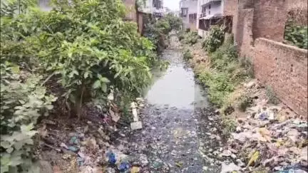 फैज़ाबाद: कंधारी बाजार मोहल्ले में नालें की सफाई न होने से स्थानीय नागरिक परेशान,नगर निगम नहीं दे रहा ध्यान #jansamaya