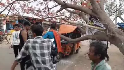 लेस्लीगंज: गांधी चौक में तेज आंधी से पेड़ गिरने से टोटो रिक्शा क्षतिग्रस्त, लोग बाल-बाल बचे, कोई हताहत नहीं