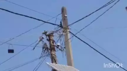 मधवापुर: साहरघाट दक्षिणी पंचायत के वार्ड 5 में जर्जर बिजली के तार और पोल नहीं बदलने से ग्रामीणों को हो रही परेशानी #jansamasya