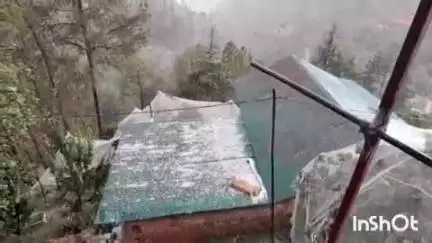 कोटगढ़: कुमारसेन उपमंडल के कोटगढ़, मंगसु, लौगा और कुमारसेन में भारी ओलावृष्टि, नकदी फसलें हुईं तबाह
