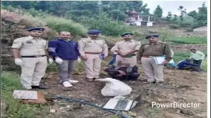 नौहरा: अफीम की अवैध खेती का भंडाफोड़, 560 पौधे बरामद, आरोपी को किया गया गिरफ्तार