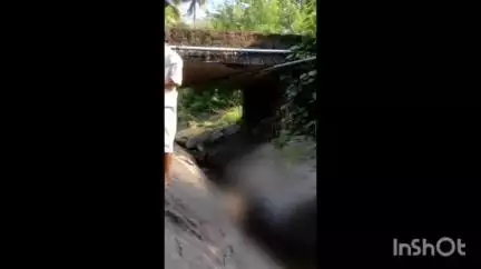 കോതമംഗലം: വടാട്ടുപാറ ചക്കിമേട് പാലത്തിന് താഴെ തോട്ടിൽ യുവാവിനെ മരിച്ച നിലയിൽ കണ്ടെത്തി