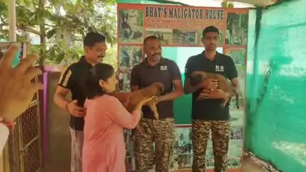 ಅಂಕೋಲ: ವಿಶೇಷ ತಳಿಯ ಶ್ವಾನದ ಮರಿ ಸಿಆರ್‌ಪಿಎಫ್ ಅಧಿಕಾರಿಗಳಿಗೆ ನೀಡಿದ ಭಾವಿಕೇರಿ ರಾಘವೇಂದ್ರ ಭಟ್