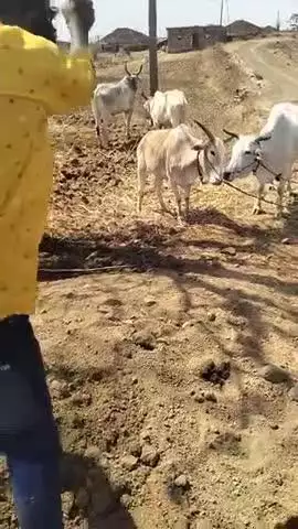 ग्राम पटी पंचायत सुखापुरा में बूंद बूंद पानी के लिए तरस रहे है लोग सरपंच सचिव एवं उच्च अधिकारी कोई ध्यान नही दे रहे हैं।