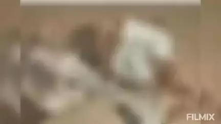 भोकर: भोकर-भैसा रोडवर चिंचाळा फाट्याजवळ दुचाकीस अज्ञात वाहनाने दिलेल्या धडकेत दोन युवक ठार तर, एक जण गंभीर जखमी