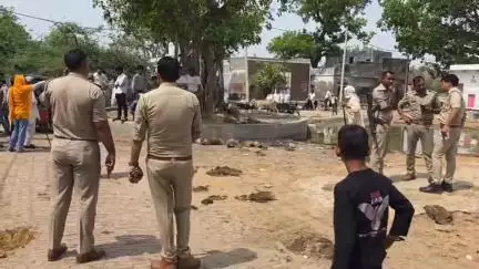 मथुरा:12 से अधिक बंदरों के शव मिलने से हड़कंप,विदेशी नागरिक पर एयर गन से हत्या करने का आरोप।
#monkey #news