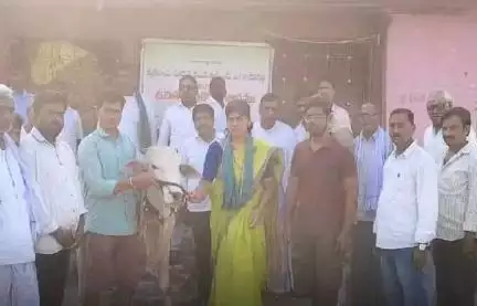 బిచ్కుంద: పుల్కల్ లో ఉచిత పశు వైద్య శిబిరం